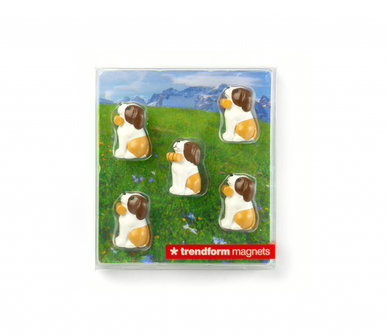 neodymium honden magneten