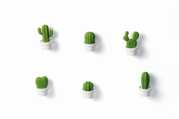 cactus magneten
