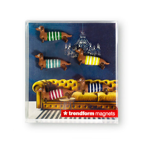 magnetische honden teckels