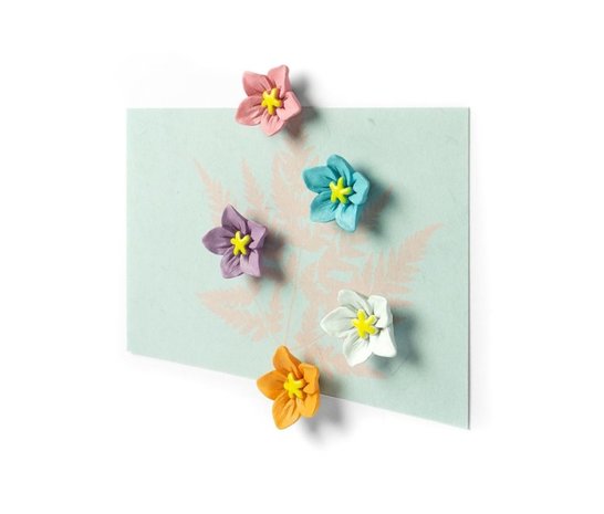 Blossom magnets trendform