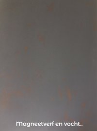 Magneetverf en roest