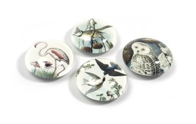 Vogel magneten 'Bird' van glas - set van 4 stuks