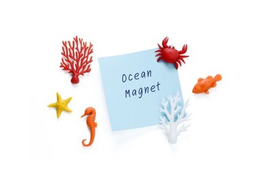 Ocean Ecology Magneten - gemaakt van gerecyclede petflessen - 6 stuks per set