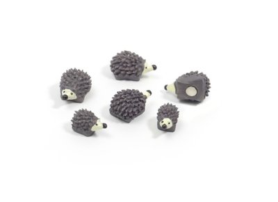 Egel magneten Hedgehog - set van 6 sterke magneten