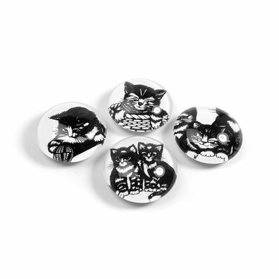 Leuke poezen magneten van glas - set van 4 stuks
