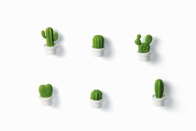 Cactus magneten van Qualy witte pot - set van 6 stuks