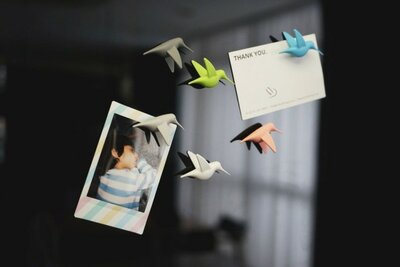 Hummingbird Magneten Pastel - set van 6 stuks