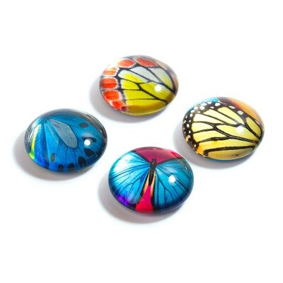 BUTTERFLY magneten van glas - set van 4 stuks