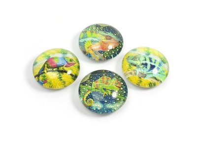 Kameleon magneten van glas - set van 4 stuks